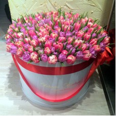 Тюльпаны пионовидные в цилиндре (XL) до 230 шт.