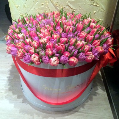 Тюльпаны пионовидные в цилиндре (XL) до 230 шт.